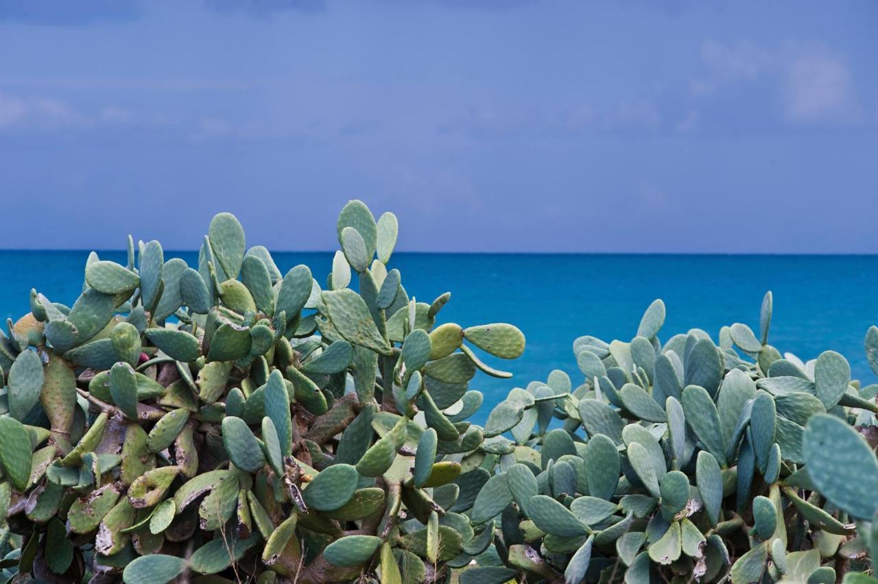 콘베르사노 La Terrazza Di Puglia 아파트 외부 사진